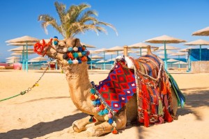Camila odihnindu-se pe o plaja din Hurghada, Egipt