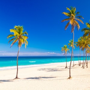 Plaja cu palmieri, Varadero, Cuba